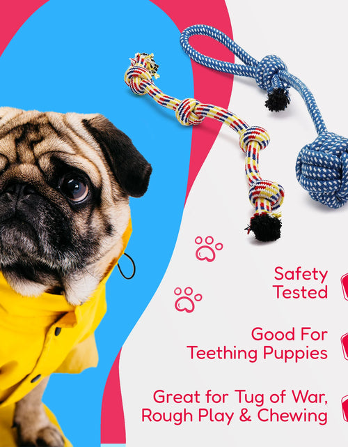 Load image into Gallery viewer, Dog Rope Toys for Small &amp; Medium Dogs Dog Toy Pack of 11 Puppy Teething Toys
