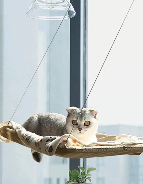 Load image into Gallery viewer, Hanging Cat Bed Pet Cat Hammock Aerial Cats Bed House Kitten Climbing Frame Sunny Window Seat Nest Bearing 20Kg Pet Accessories
