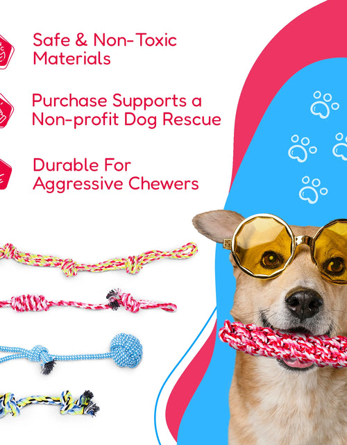 Load image into Gallery viewer, Dog Rope Toys for Small &amp; Medium Dogs Dog Toy Pack of 11 Puppy Teething Toys
