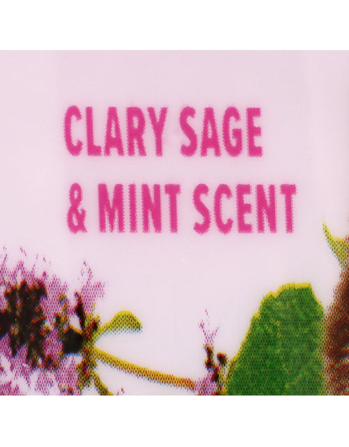 Load image into Gallery viewer, (2 Pack)  Deodorizing Cat Litter Crystals for Litter Boxes, Clary Sage &amp; Mint Scent 15 Oz.
